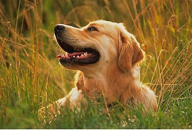 重磅补丁放出！《战地风云2042》更新#3上线