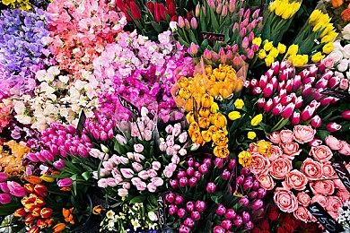 《千变的迷宫 风来的希炼6》新系统情报公开 明年1月发售