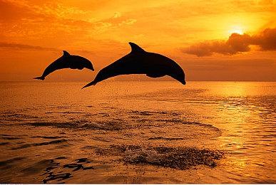 《光环1》虚幻5重制版可能还会登陆PS5