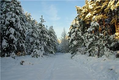 《刺客信条：影》将加入Xbox串流服务游戏库阵容