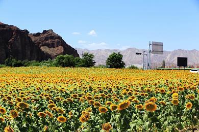 新预告片曝光《寂静岭2》重制版10月8日发售